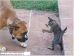 funnystory