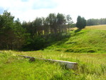 IMG_0357.JPG