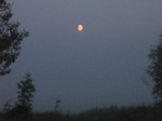 IMG_0395.JPG