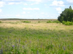 IMG_0355.JPG