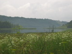 IMG_0374.JPG
