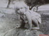 DSC00262