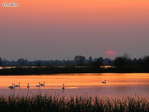107722_2 copy.jpg