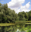 bf485edee02902b54289303ff8b09d8c copy.jpg