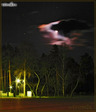 102384_2 copy.jpg