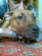 My BOY!!!