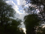 DSC00344