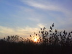 DSC00104