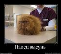 GofLWDlHMdr0HXxD5K8svw8N6g3pngYgSQgA4NmOHog