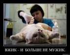 x_187dbb83
