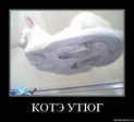 x_d98e04e8