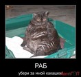 uberi-za-mnoy-rab_IMGH9Rh3C_image_small