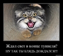 hiaqab3ickuf