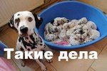 вот так вот .. 