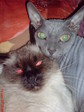 DSC00712.JPG
