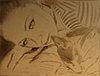 m_047791cd.jpg