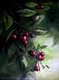 m_1f901cb7.jpg