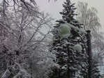 10122008655
