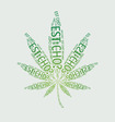 11595701_est_poskot