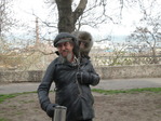 Одесские обезьяны)