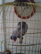 PIC-0003.jpg