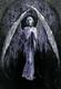 6510487_angel_temnuyy