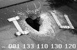 1185192630_11