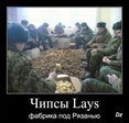 lays)