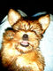 getImage (2)