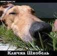 РќСЋС…