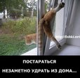 183659_181540[1]