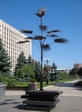 пальма мерцалова