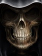 Skulls_Grin