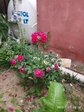 IMG_20190527_081811