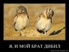 19м