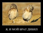 19м