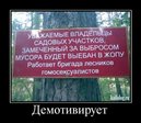 1259128532_031_2