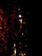 IMG0039A