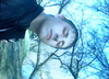 IMG0158A.jpg