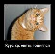 Курс кр