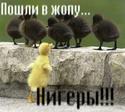 Ыыы.JPG