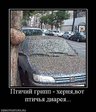 x_e302f6f9