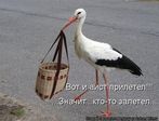 s3img_108251857_645_1