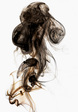 20061121091445_smoke%20for%20web.jpg