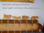 137594[1]