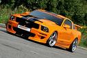 mustang2