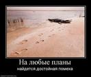 273809_na-lyubyie-planyi.thumbnail