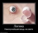 270203_logika.thumbnail