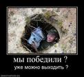 716606_myi-pobedili--.thumbnail