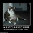 338438_a-ya-hochu-a-ya-hochu-opyat.thumbnail
